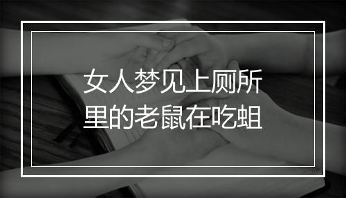 女人梦见上厕所里的老鼠在吃蛆