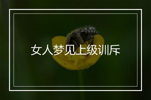 女人梦见上级训斥