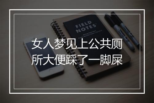 女人梦见上公共厕所大便踩了一脚屎