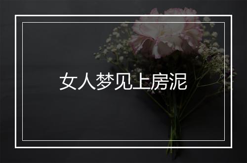 女人梦见上房泥