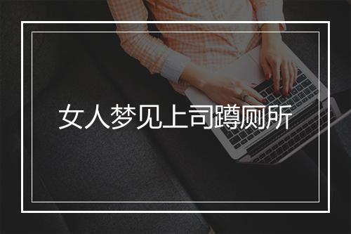 女人梦见上司蹲厕所