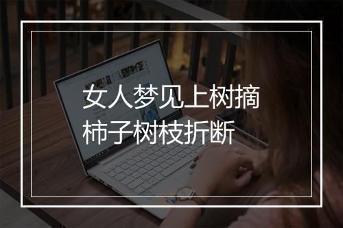 女人梦见上树摘柿子树枝折断