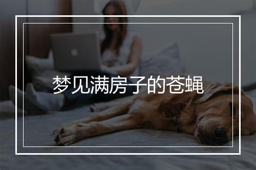 梦见满房子的苍蝇