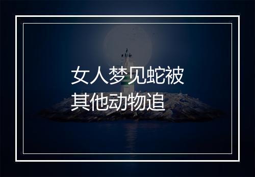 女人梦见蛇被其他动物追