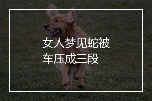 女人梦见蛇被车压成三段