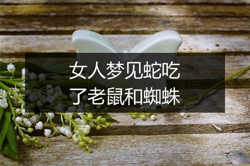 女人梦见蛇吃了老鼠和蜘蛛