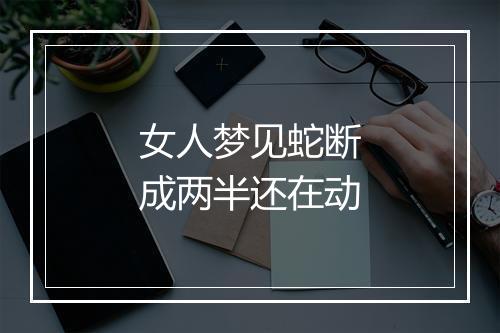 女人梦见蛇断成两半还在动