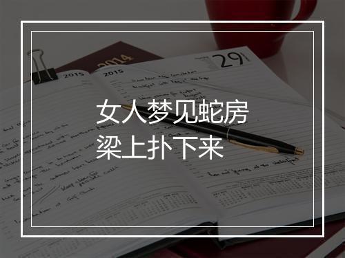 女人梦见蛇房梁上扑下来