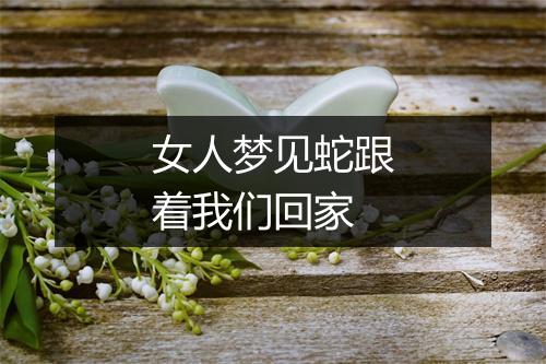 女人梦见蛇跟着我们回家