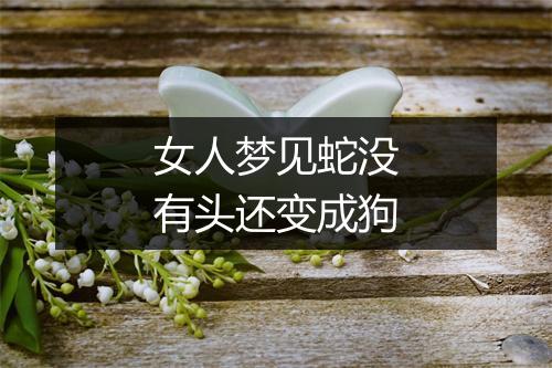 女人梦见蛇没有头还变成狗