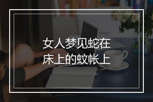 女人梦见蛇在床上的蚊帐上