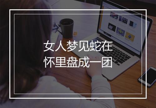 女人梦见蛇在怀里盘成一团