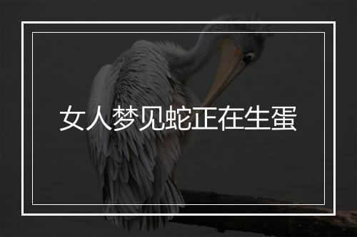 女人梦见蛇正在生蛋