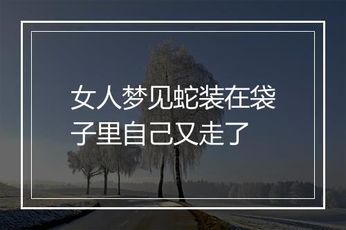 女人梦见蛇装在袋子里自己又走了