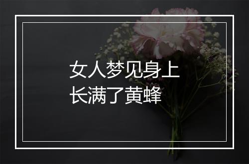 女人梦见身上长满了黄蜂