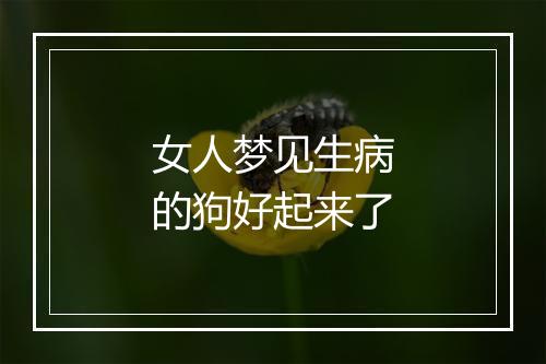 女人梦见生病的狗好起来了