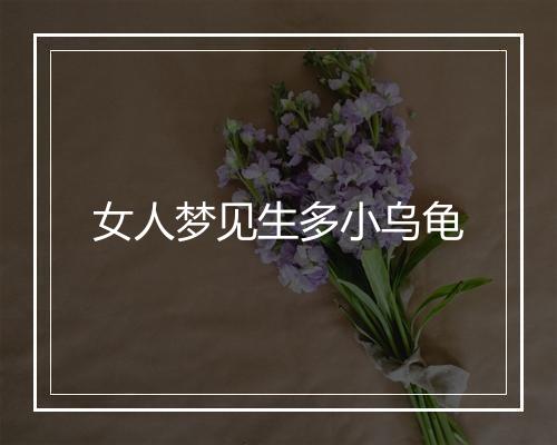 女人梦见生多小乌龟