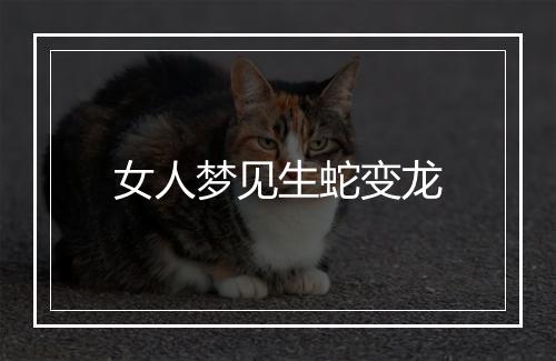 女人梦见生蛇变龙