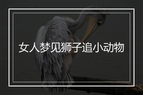 女人梦见狮子追小动物