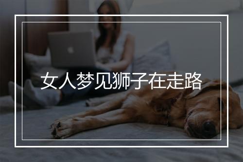 女人梦见狮子在走路