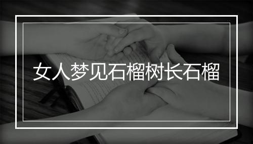 女人梦见石榴树长石榴