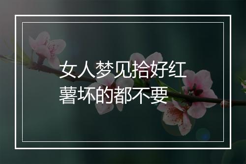 女人梦见拾好红薯坏的都不要