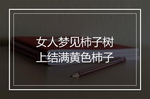 女人梦见柿子树上结满黄色柿子