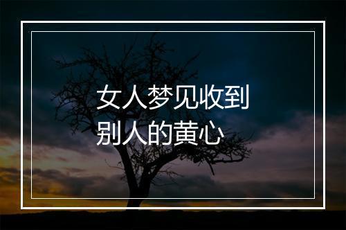 女人梦见收到别人的黄心