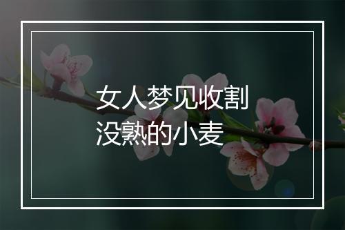 女人梦见收割没熟的小麦