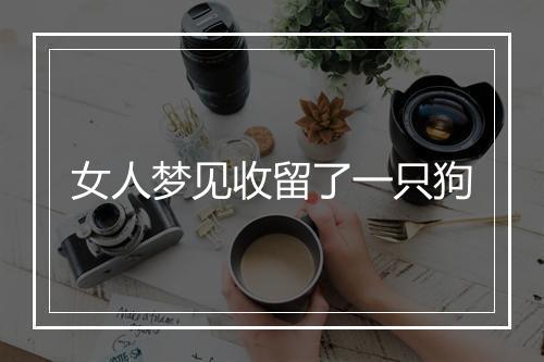 女人梦见收留了一只狗