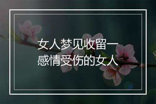 女人梦见收留一感情受伤的女人