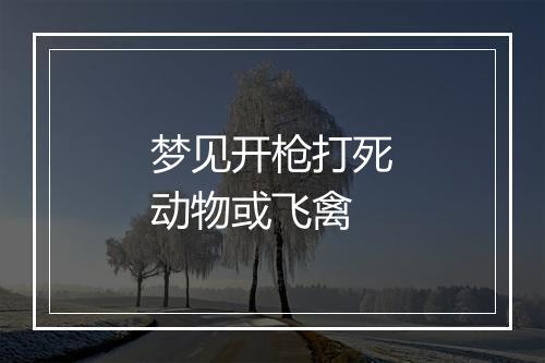 梦见开枪打死动物或飞禽