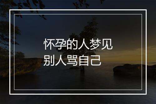 怀孕的人梦见别人骂自己