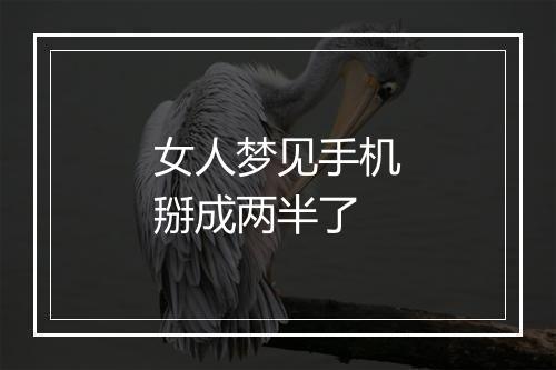 女人梦见手机掰成两半了