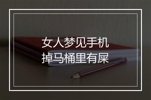 女人梦见手机掉马桶里有屎