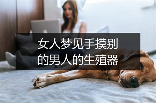 女人梦见手摸别的男人的生殖器