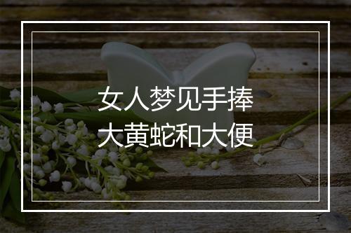 女人梦见手捧大黄蛇和大便