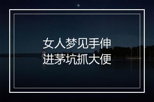 女人梦见手伸进茅坑抓大便