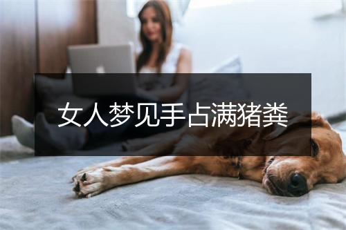 女人梦见手占满猪粪