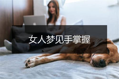 女人梦见手掌握