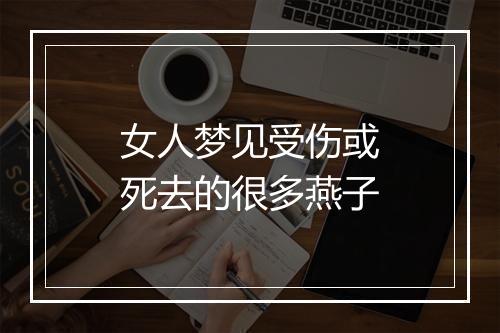 女人梦见受伤或死去的很多燕子