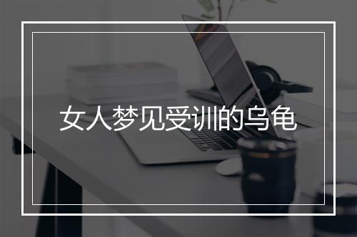 女人梦见受训的乌龟