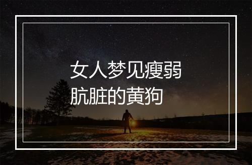 女人梦见瘦弱肮脏的黄狗