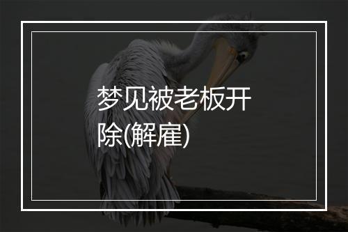 梦见被老板开除(解雇)