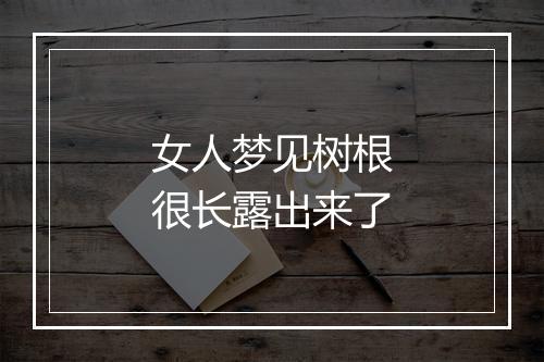 女人梦见树根很长露出来了