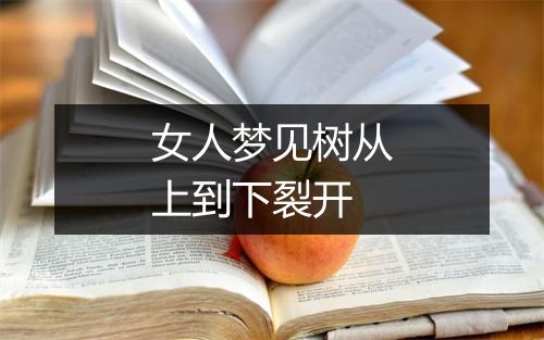 女人梦见树从上到下裂开