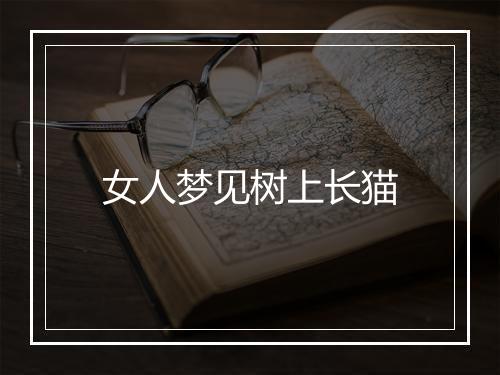 女人梦见树上长猫