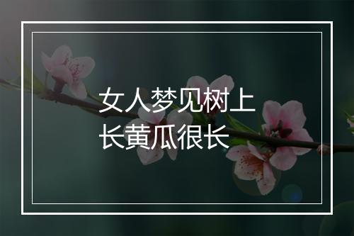 女人梦见树上长黄瓜很长