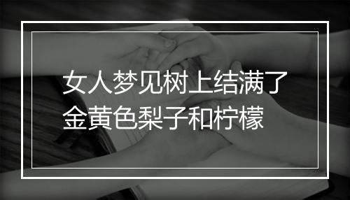 女人梦见树上结满了金黄色梨子和柠檬