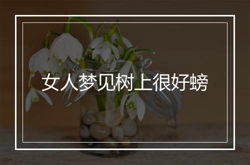 女人梦见树上很好螃